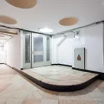 Borealis Calea Victoriei View Netflix